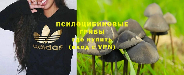 дмт Балабаново