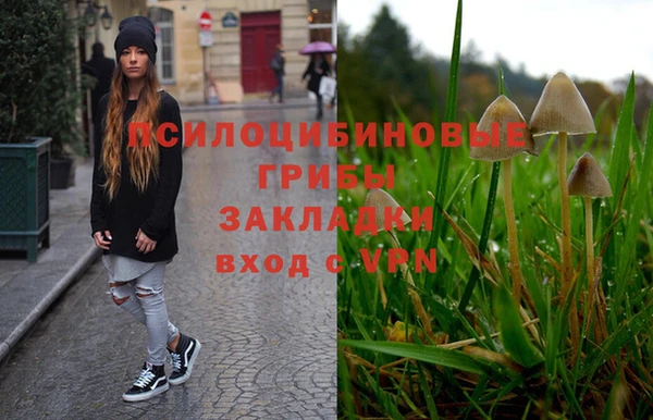каннабис Баксан
